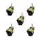Service Caster 2 Inch Antique Brass Hooded 5/16 Inch Threaded Stem Ball Caster SCC, 5PK SCC-TS01S20-POS-WA-516-5 - alternate 1